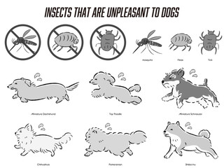 犬の虫対策のイラストセット