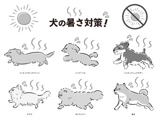 犬の暑さ対策のイラストセット