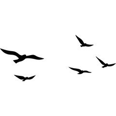 A flock of flying birds, Pigeons Flying Silhouettes, swallow Flying Silhouettes, group of birds in the sky, Silhouettes of wild birds in flight