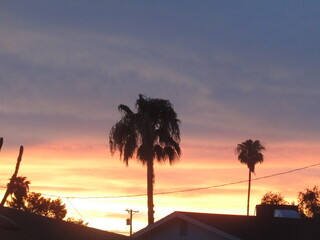 Beautiful Sunset