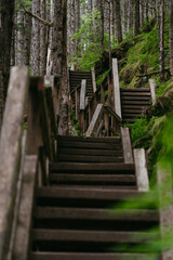 Hiking trail at Mendenhall Glacier in Tongass National Forest in Juneau Alaska