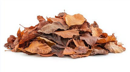 A neat pile of dry autumn leaves in various shades of brown and orange, isolated on a clean white background