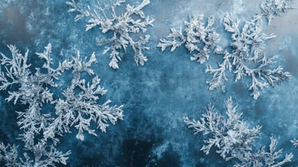 Frosty Winter Background with Delicate Snowflakes