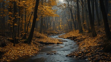 Obraz premium Misty Autumn Forest Path with Yellow Fallen Leaves