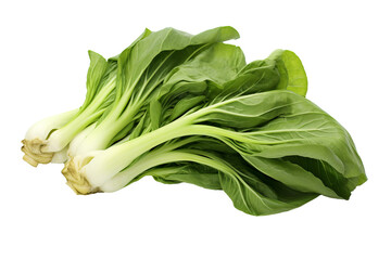 Fresh organic Bok choy isolated on transparent background for culinary creations, health-conscious designs, and Asian-inspired recipes