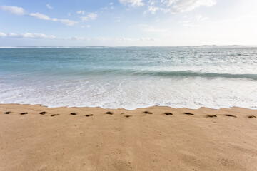 Empreintes de pas sur plage dorée de L’île de la Réunion 