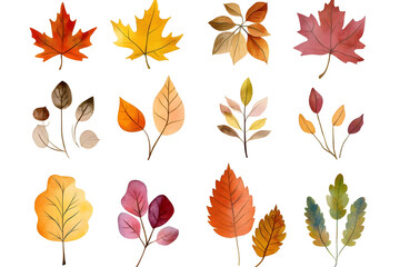 Obraz premium Watercolor autumn yellow leaves and plants collection isolated on white background