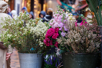 Bologna, Italy, 03.27.2024: Italian flower market with fresh flowers pots close up at Bologna, Italy
