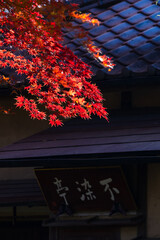 日本の風景・秋　小江戸川越　紅葉の中院