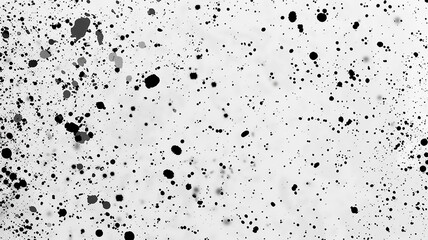 Obraz premium White Background With Black Speckles