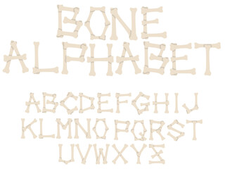 骨のアルファベット