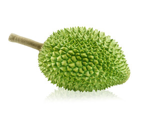 King of fruits, durian isolated on white background.