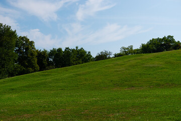 grass and blue sky