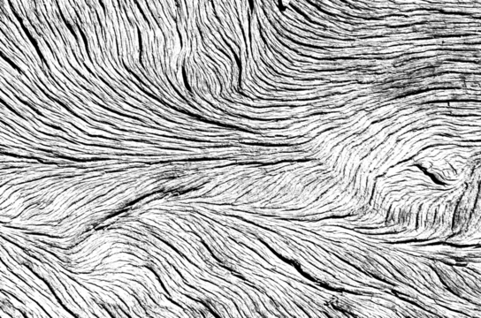 Transparent wood pattern texture for background grunge effect