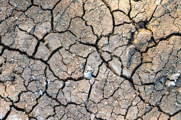cracked earth background