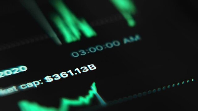 Cryptocurrency trading graph showing increase and decrease, financial analysis, macro view