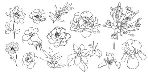 Fototapeta premium minimal line flower and botanical graphic sketch drawing, trendy tiny tattoo design, floral elements vector illustration