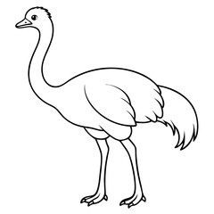 Obraz premium ostrich cartoon