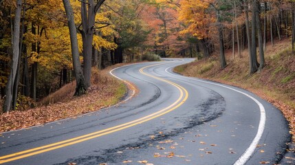 Fototapeta premium Empty winding road in a colorful autumn forest invites you to explore nature's beauty on a cloudy fall day