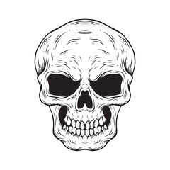 Skull in monochrome style isolated on white background. Vector illustration.