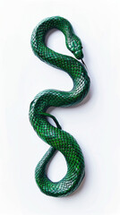 Fototapeta premium Top View of a Green Ceramic Snake Sculpture with Curved Body and Detailed Scales on White Background