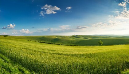 Fototapeta premium Countryside landscape grassland panoramic.