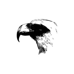Eagle icon. Bald eagle logo. Eagle glyph. eagle silhouette