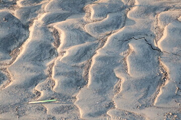 Closeup of a sandy surface with a green stick embedded in it