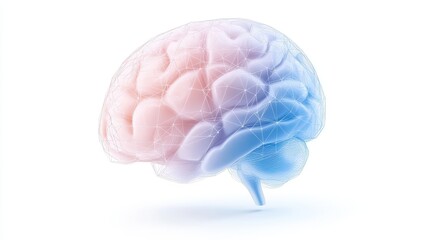 A brain with a pink and blue color scheme. The brain is shown in a 3D form