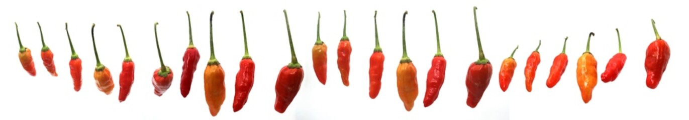 A group of fresh cayenne peppers, also known as Cabai rawit, cili padi, siling labuyo, phrik khi nu, Tabasco chili pepper, or bird's eye chili pepper, arranged in a row, isolated on a white background