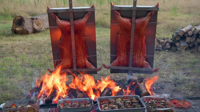 Traditional Argentinian asado, lamb and piglet slow-cooked over a wood fire and brushed with a spicy chimichurri sauce, Patagonia, Argentina, France, High quality FullHD footage
