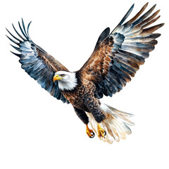 Obraz premium A high-quality photo of a majestic eagle in flight, depicted in a watercolor clipart style on a white background. The eagle's wings are spread wide, showcasing its impressive wingspan and feather