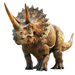 Fototapeta premium Triceratops Isolated on a Transparent Background