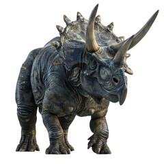 Fototapeta premium Triceratops Isolated on a Transparent Background