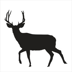 Silhouette hunting deer vector isolated on white background. Christmas deer, deer silhouette, moose, antelope, deer jumping vector.