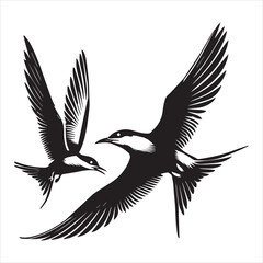 Fototapeta premium Common Tern Silhouette, Sterna hirundo Bird Clipart - Common Tern flight Illustration in black and white
