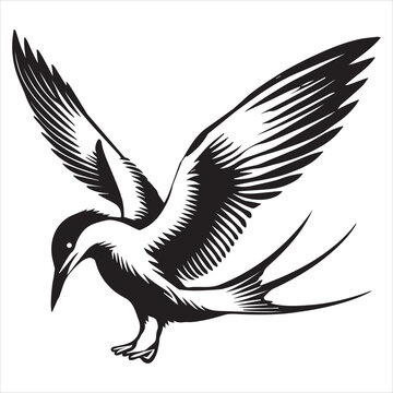 recommend clip art: Common Tern Silhouette, Sterna hirundo Bird Clipart - Common Tern in defensive posture Illustration in black and white