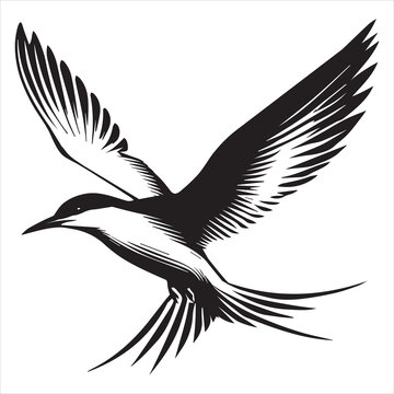 recommend clip art: Common Tern Silhouette, Sterna hirundo Bird Clipart - Common Tern soaring Illustration in black and white