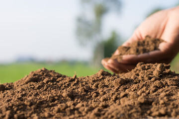 Fertile soil, suitable for cultivation and agriculture.