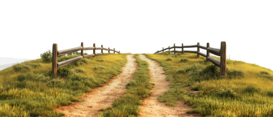 Road through grassfield border landscape grassland outdoors isolated against transparent background. Natural concept