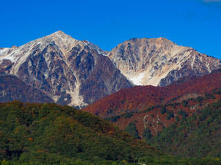 Obraz premium 紅葉の北アルプスの山並み 長野県白馬村