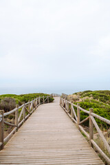Fototapeta premium A wooden walkway winds through lush coastal vegetation, directing attention towards the calm sea. The overcast sky adds a serene atmosphere.