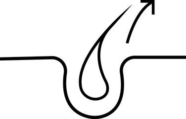 Hair treatment and care signs . Labels for shampoo or cosmetic procedures. Hair follicles, repair, nutrition, split ends, anti-dandruff, restoration. Shiny healthy hair sign. Label or stickers.