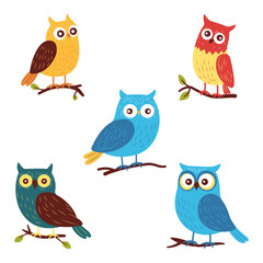Collection of Cute Colorful Owl Bird Animal Perched on Tree Branch