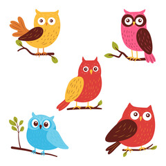 Collection of Cute Colorful Owl Bird Animal Perched on Tree Branch