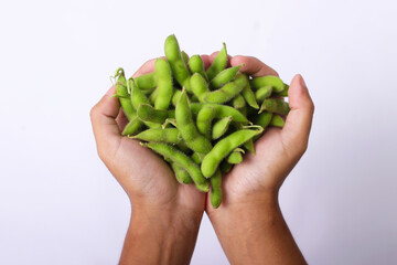 A hand is holding fresh edamame beans, with ample copy space, isolated on a white background