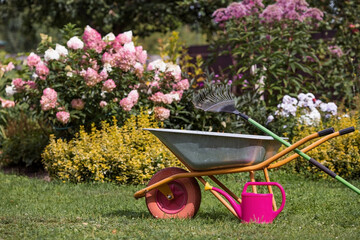 A garden wheelbarrow and a rake in the backyard of the house. The concept of housework, gardening...