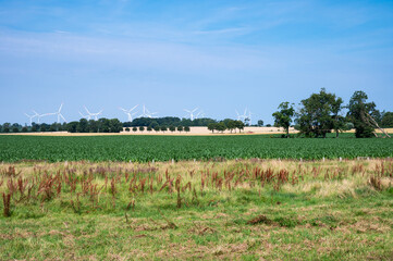 Nature zone with agriculture fields at the seaside around Neukirchen, Germany
