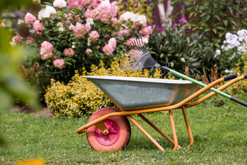 A garden wheelbarrow and a rake in the backyard of the house. The concept of housework, gardening...