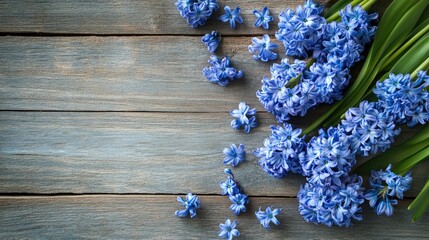 Obraz premium Floral flat lay of hyacinth flowers on a wooden backdrop, plenty of room for text or design elements
